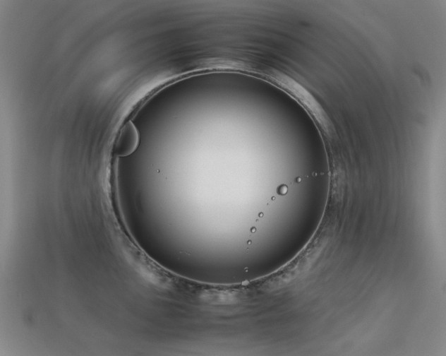 X0000113221051200909101146
