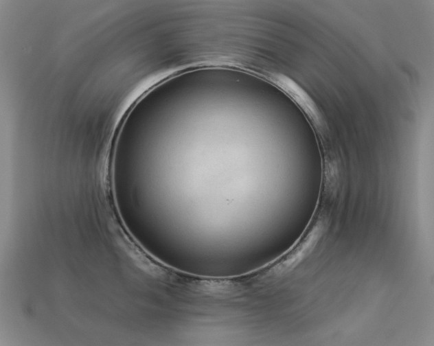 X0000113221052200909101146