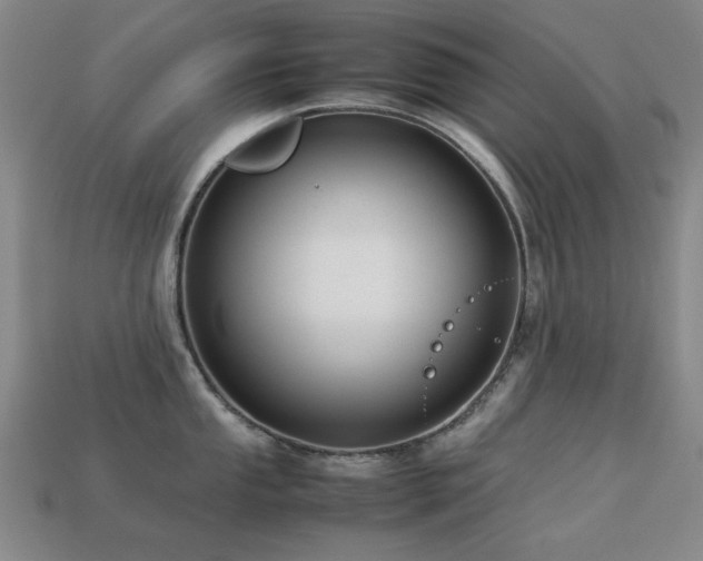 X0000113221053200909101146