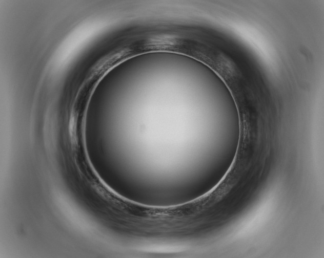 X0000113221054200909101146