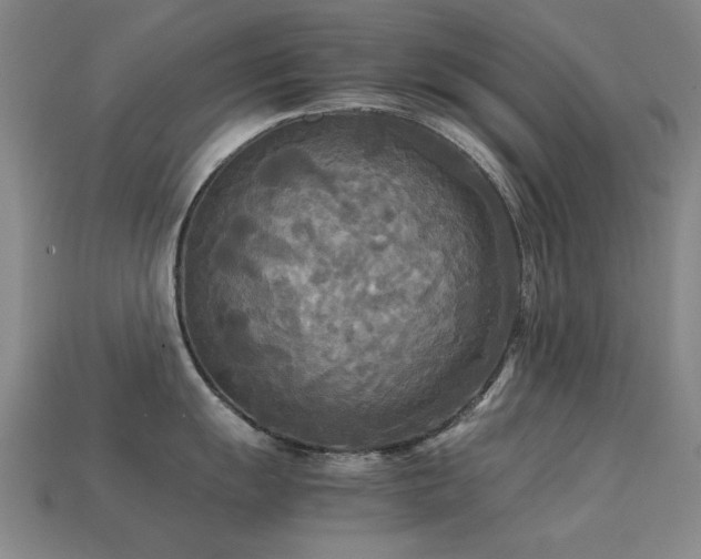 X0000113221055200909101146