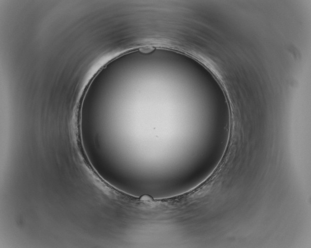 X0000113221056200909101146
