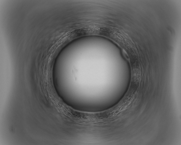 X0000113221057200909101145