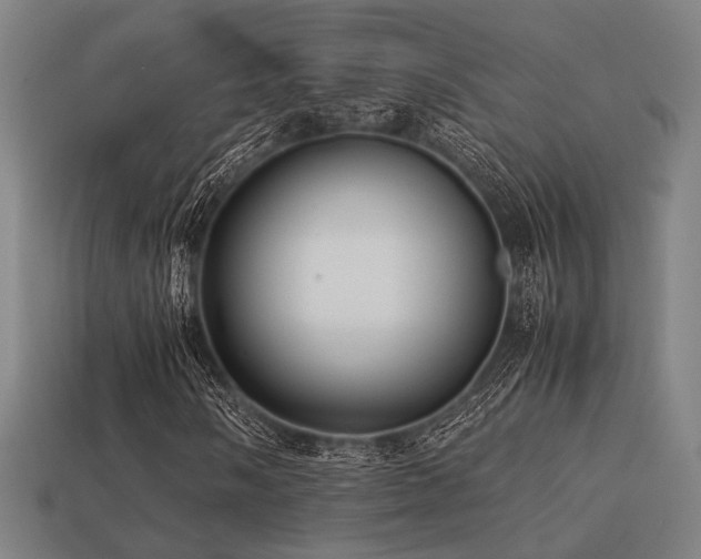 X0000113221058200909101145