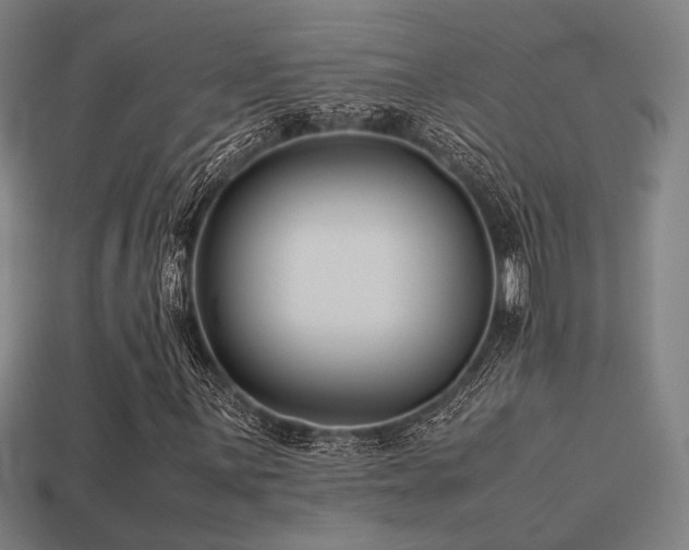 X0000113221059200909101145