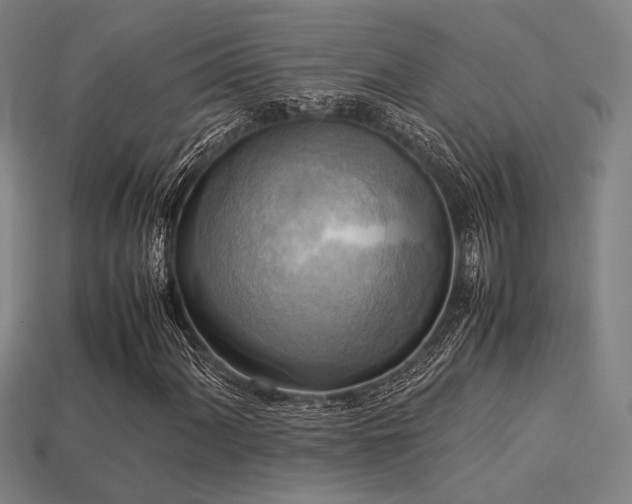 X0000113221060200909101145