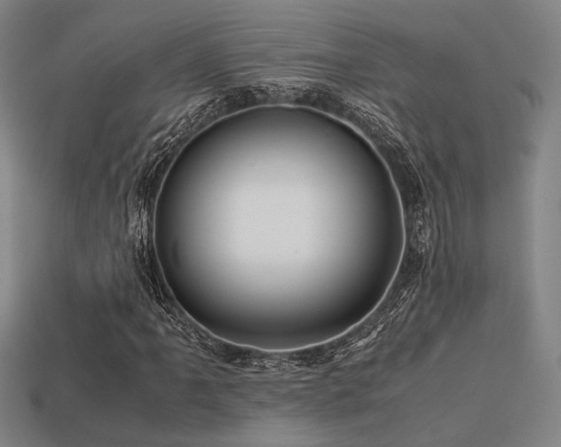X0000113221061200909101145