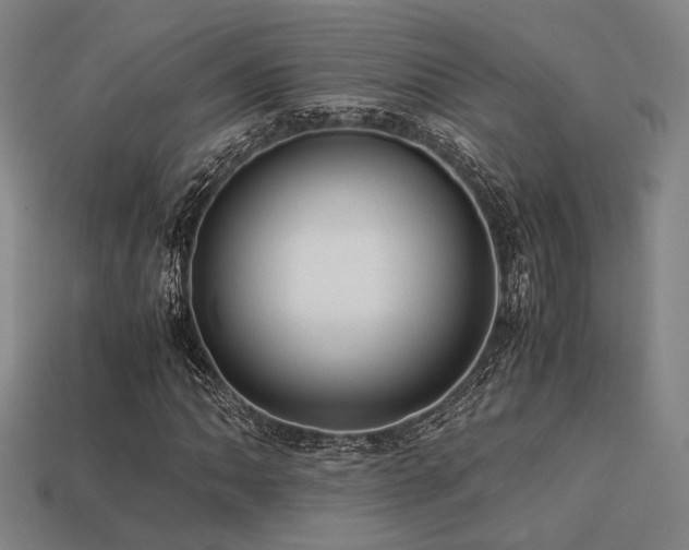X0000113221062200909101145