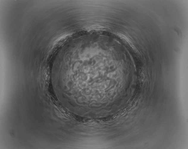 X0000113221063200909101145