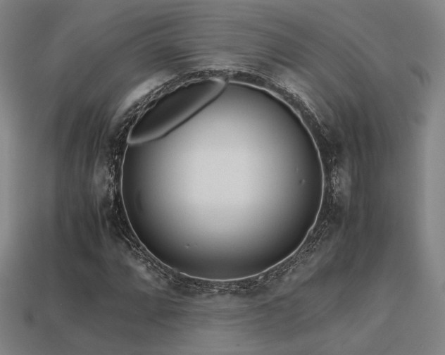 X0000113221064200909101145