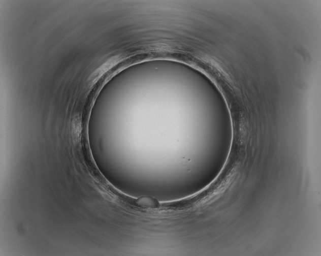 X0000113221065200909101145
