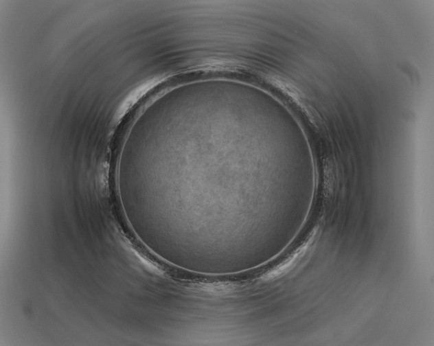 X0000113221066200909101145