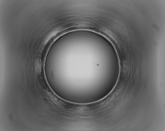 X0000113221067200909101145