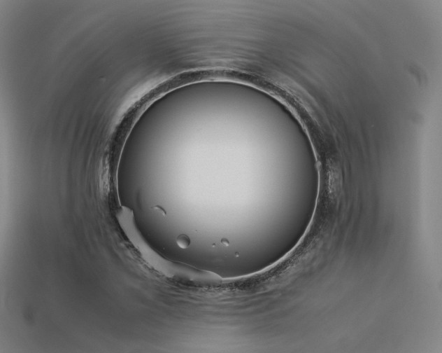 X0000113221069200909101145