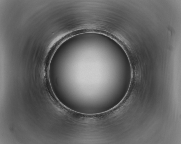 X0000113221070200909101145