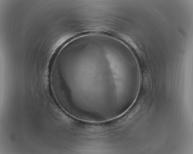 X0000113221071200909101145