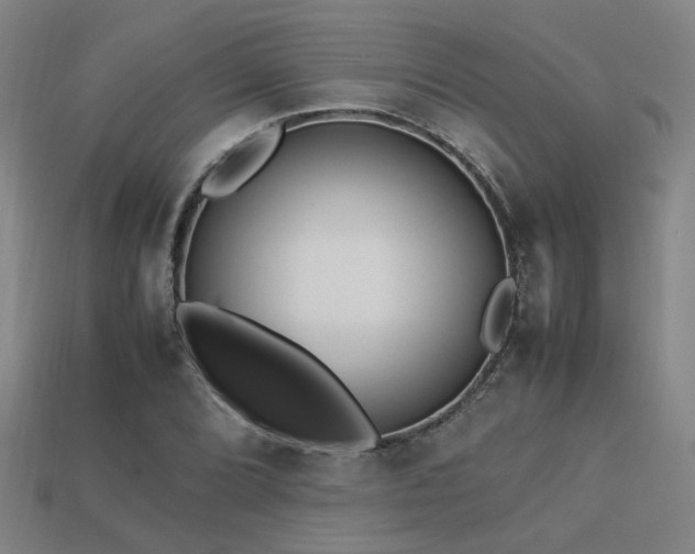 X0000113221072200909101145