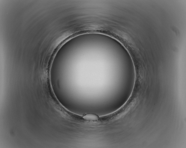 X0000113221073200909101145