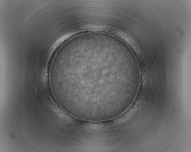 X0000113221074200909101145