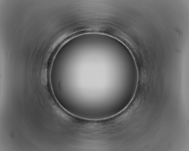 X0000113221075200909101145