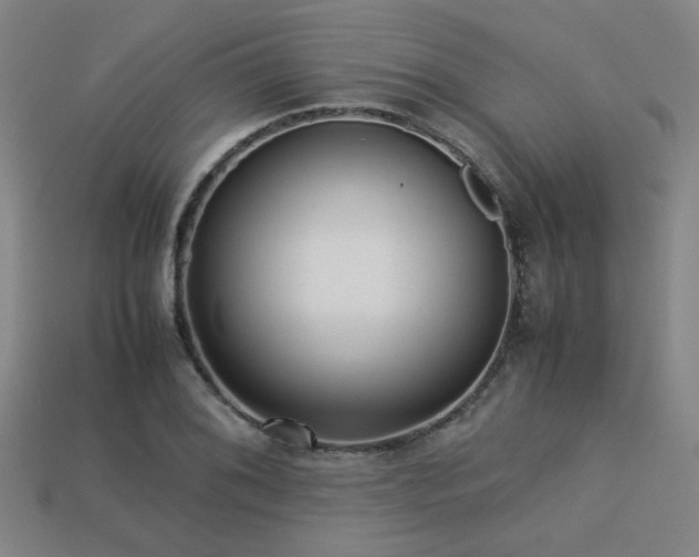 X0000113221076200909101145