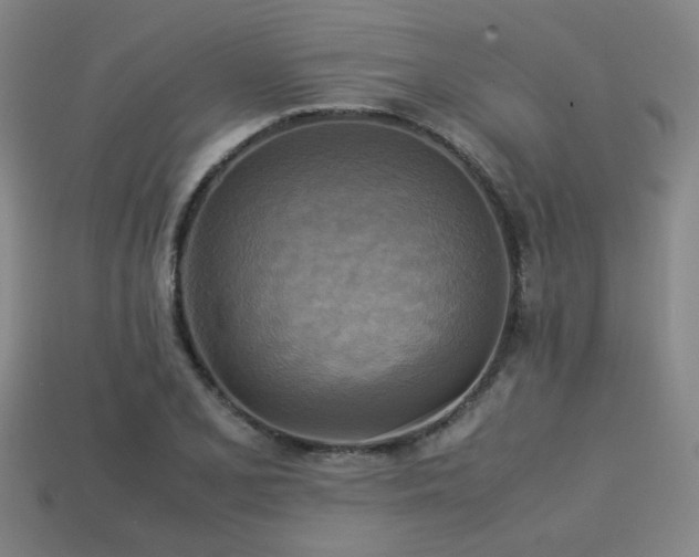 X0000113221077200909101145