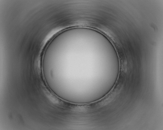 X0000113221078200909101145