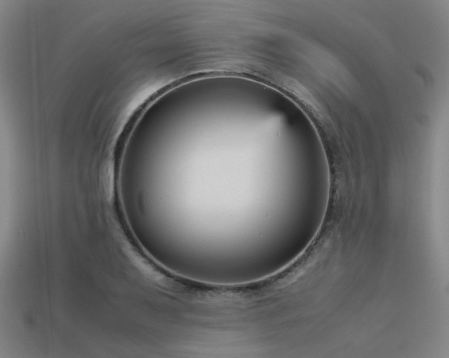 X0000113221079200909101145