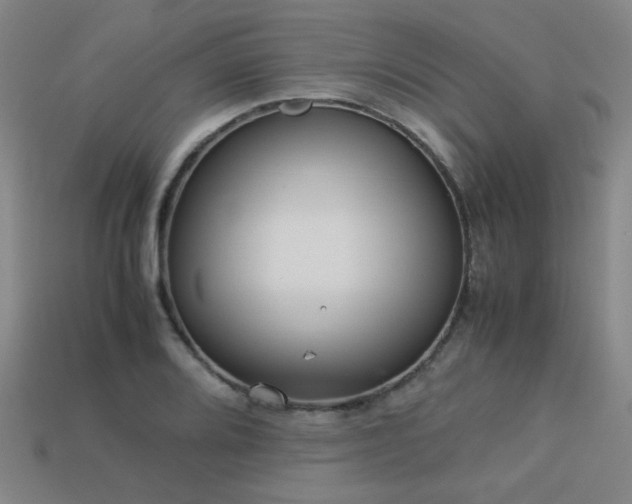 X0000113221080200909101145