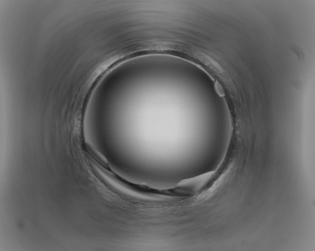 X0000113221081200909101145