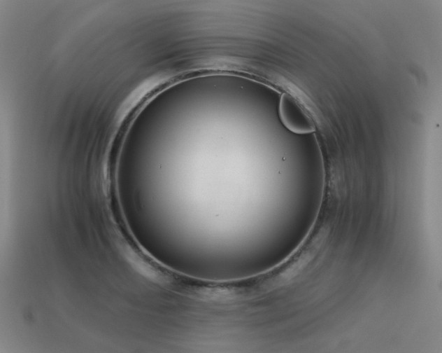 X0000113221082200909101145