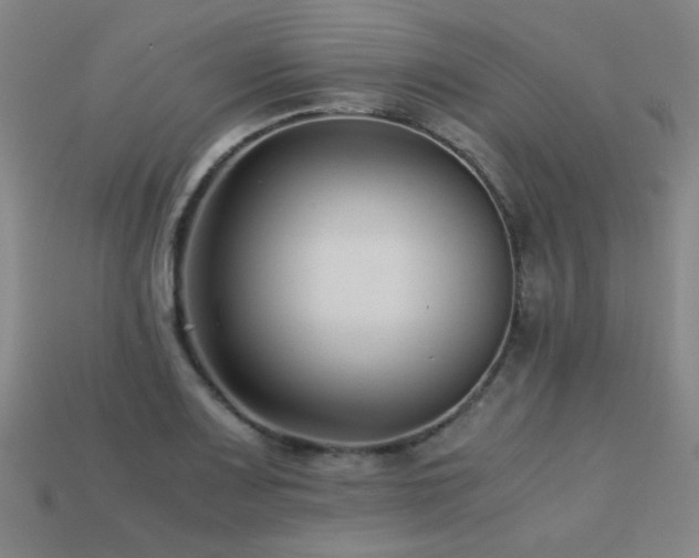 X0000113221083200909101145
