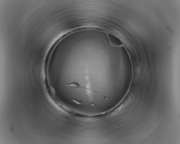 X0000113221084200909101145