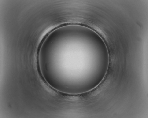 X0000113221085200909101145