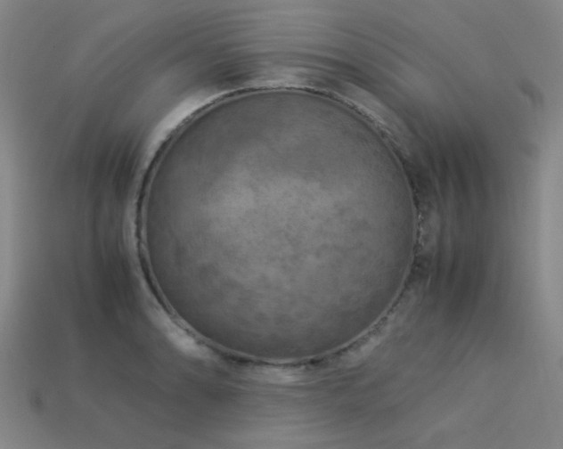 X0000113221086200909101145