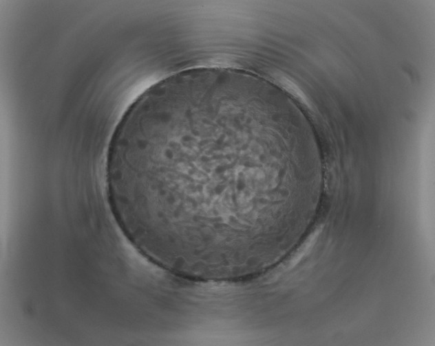 X0000113221087200909101145