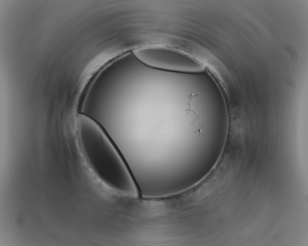 X0000113221088200909101145