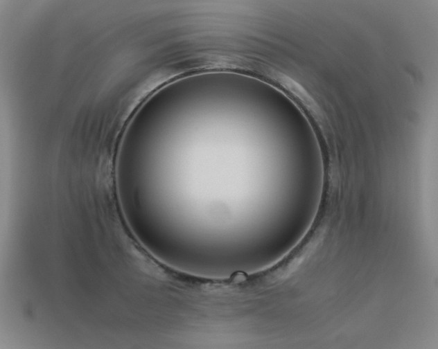 X0000113221089200909101145