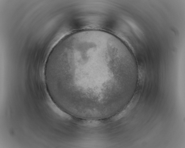 X0000113221090200909101145