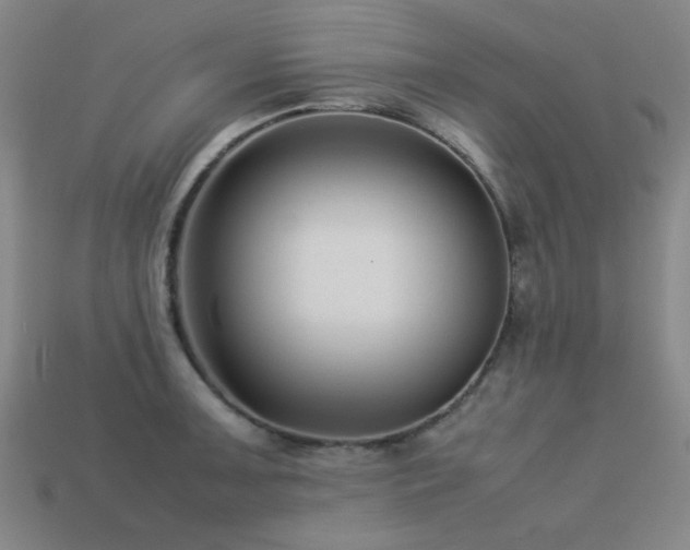 X0000113221091200909101145