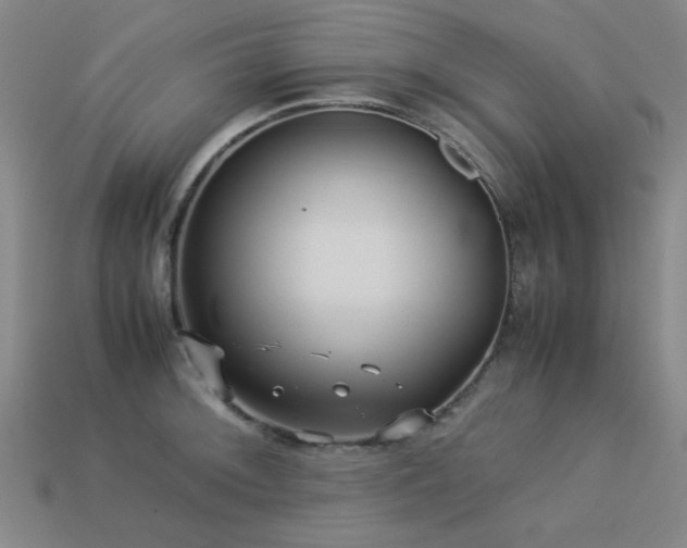 X0000113221092200909101145
