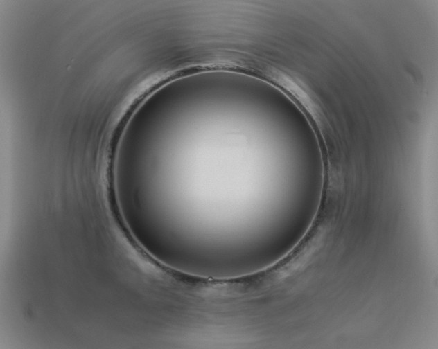 X0000113221093200909101145