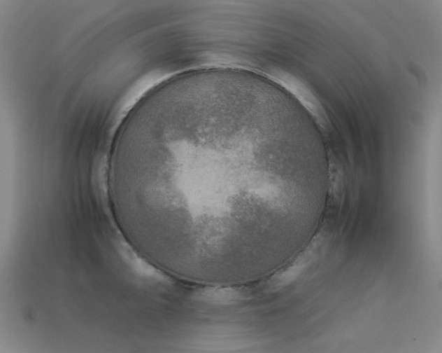 X0000113221094200909101145