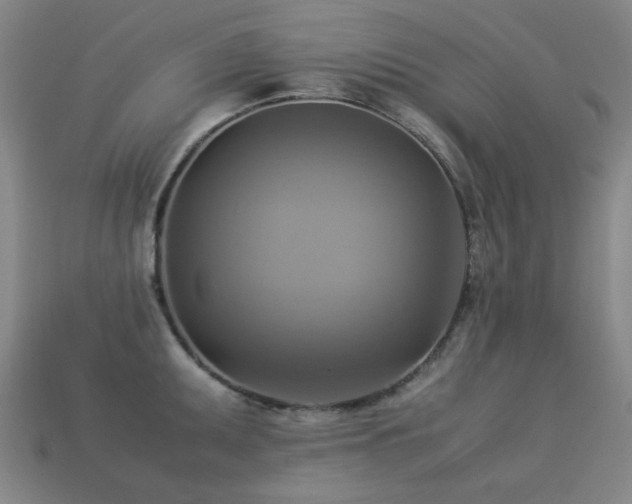 X0000113221095200909101145