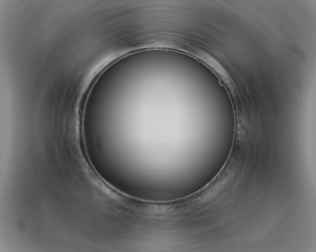 X0000113221096200909101145