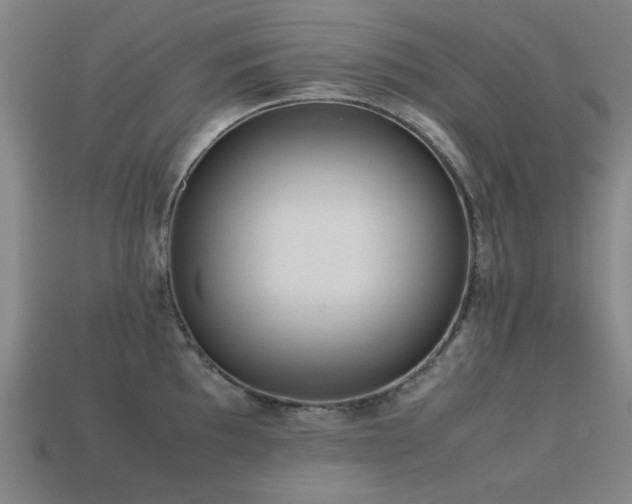 X0000113221097200909101145