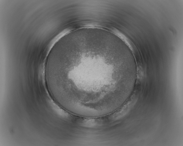 X0000113221098200909101145