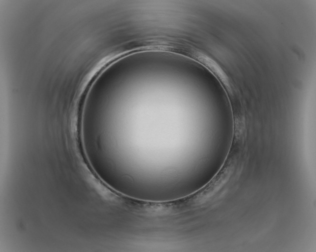 X0000113221099200909101145