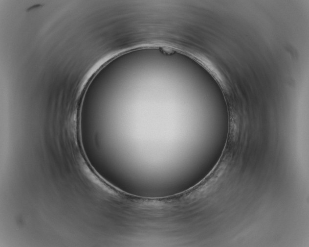 X0000113221100200909101145