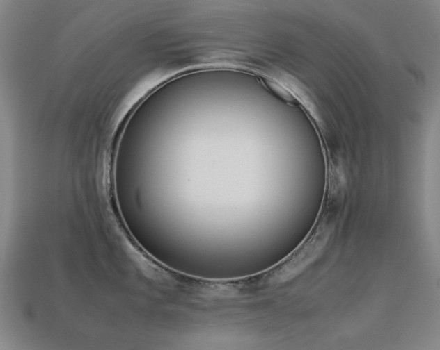 X0000113221101200909101145